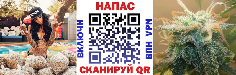 Магазины продажи наркотиков Зеленогорск ГАШИШ  СК  OMG как войти  АМФЕТАМИН  Канабис  МЕФ 