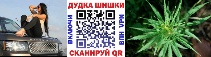 МЕФ Зеленогорск