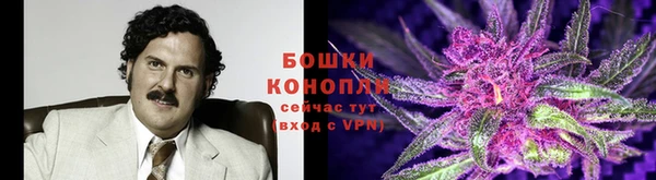 гидропоника Елабуга
