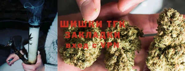 гидропоника Елабуга