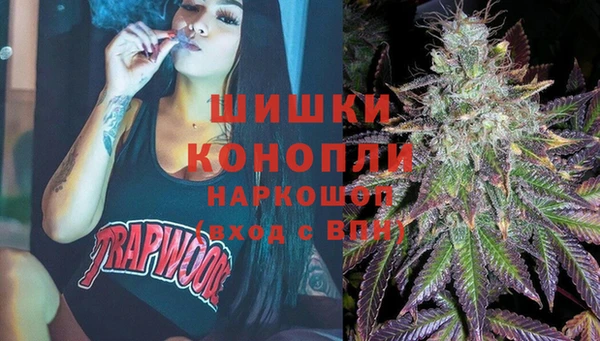 гидропоника Елабуга